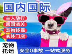 台州路桥航空货运国际宠物托运 【国
